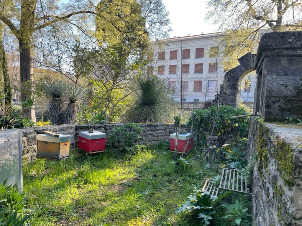 La Noria du Jardin des Plantes